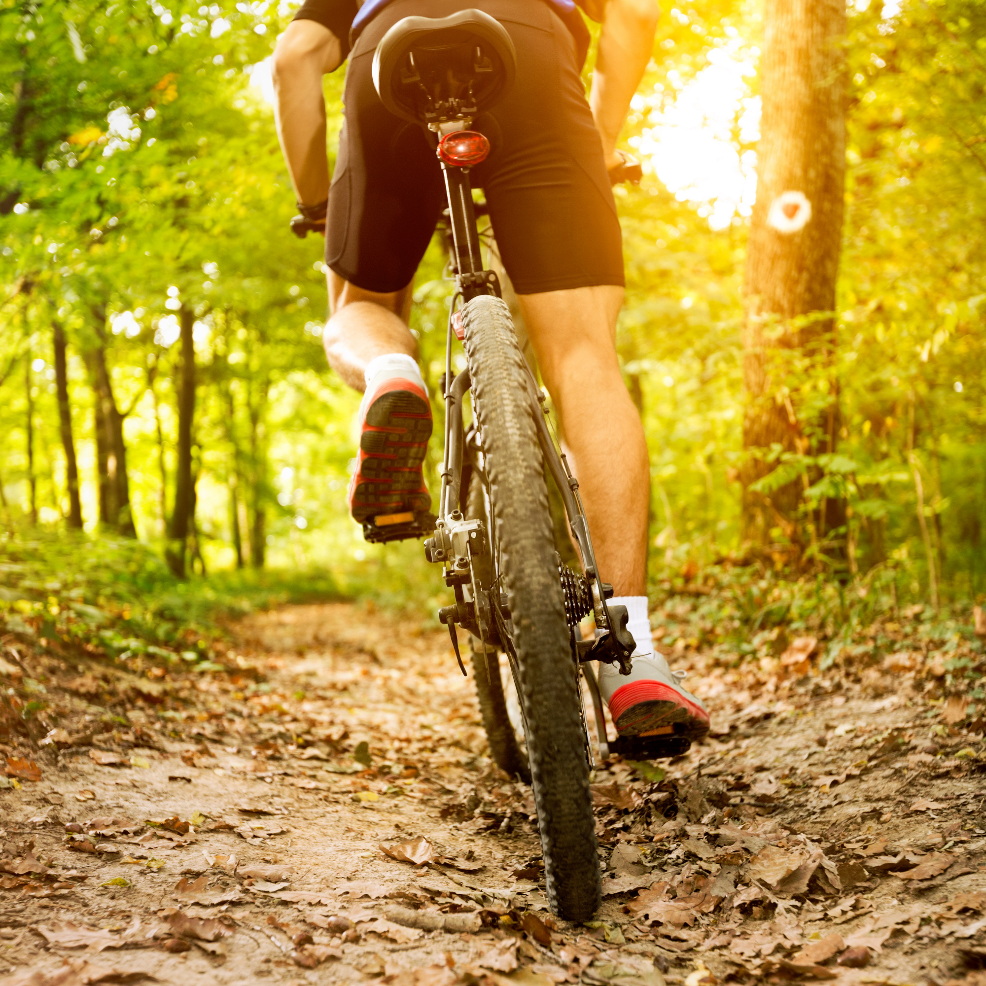 Bike Safety
