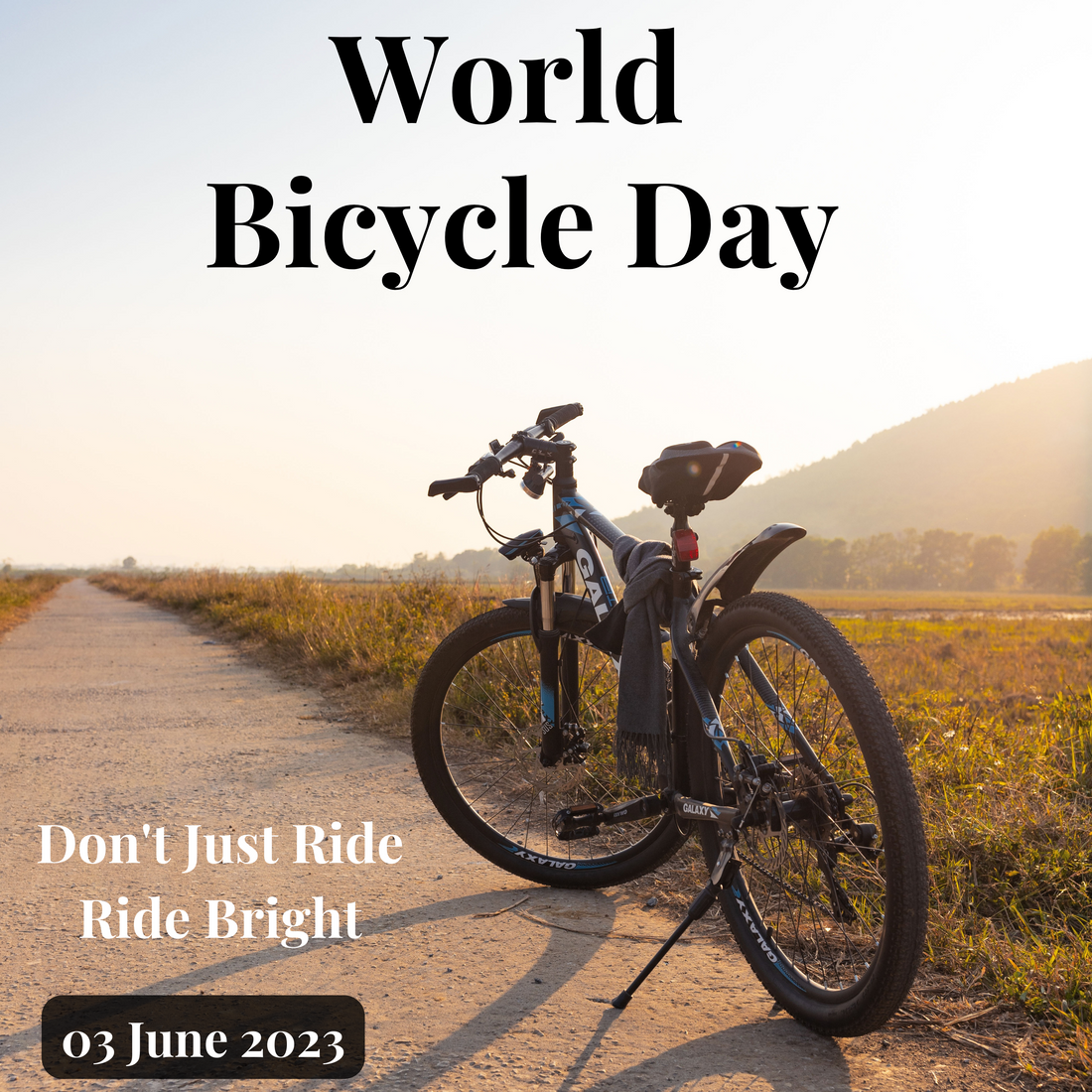 Discover the Hidden Benefits of Cycling
