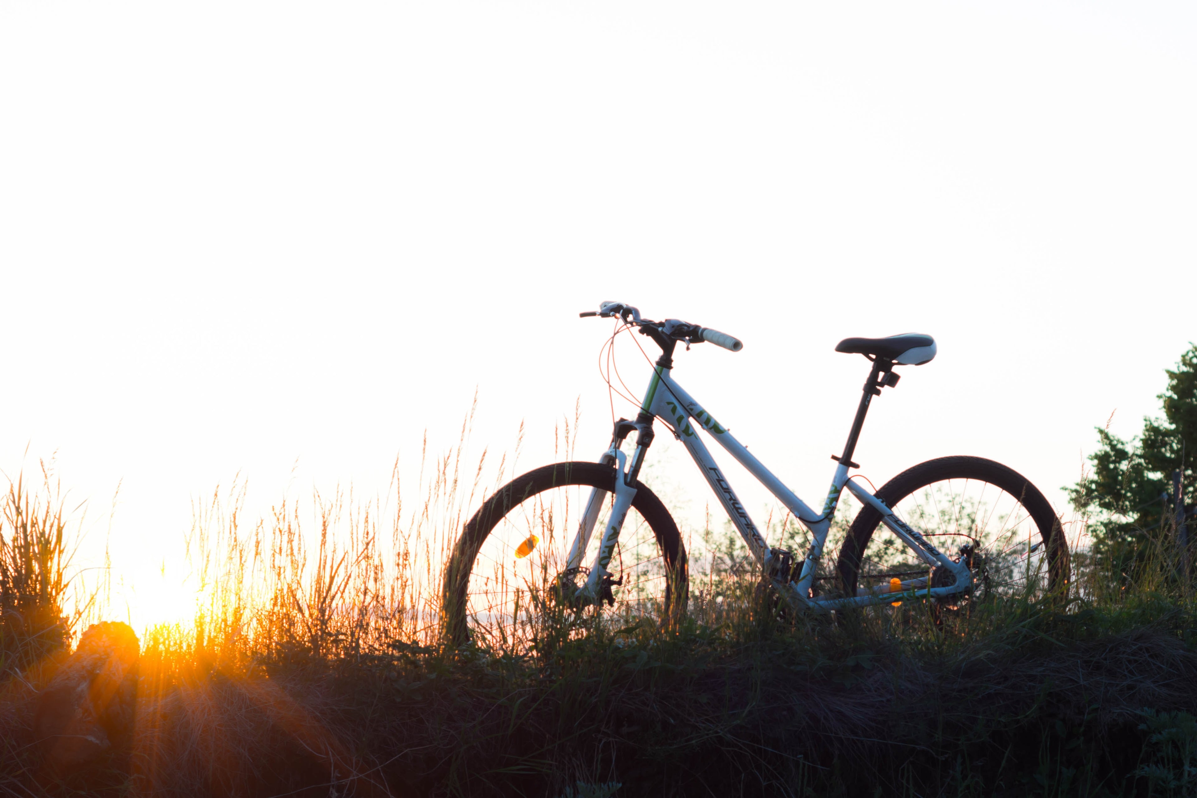 The Importance of Proper Bike Maintenance for Safe Cycling